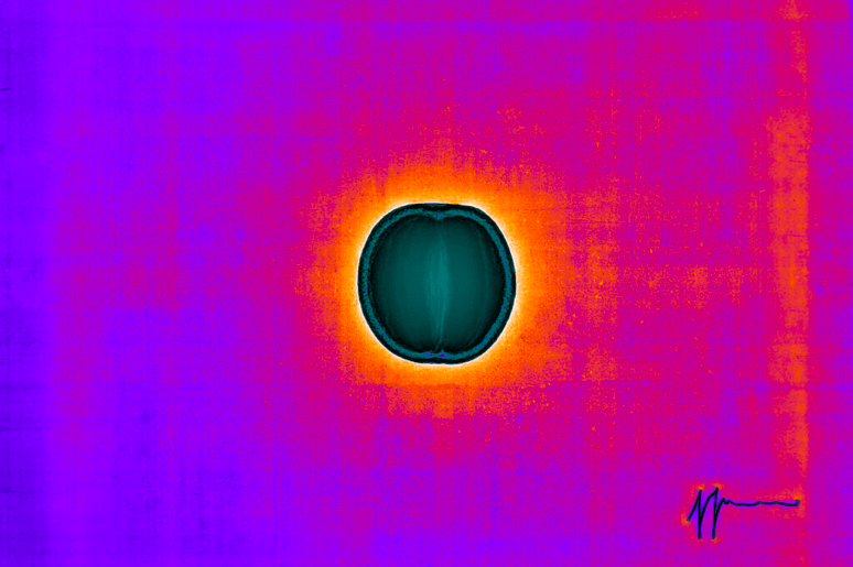 simone sola orange eclipse