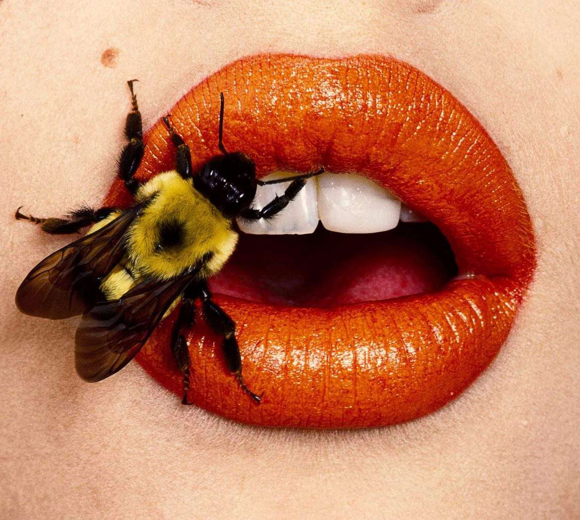 irving penn bee (a), new york, 1995 © the irving penn foundation