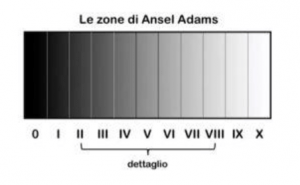 il mistero della zonale le zone