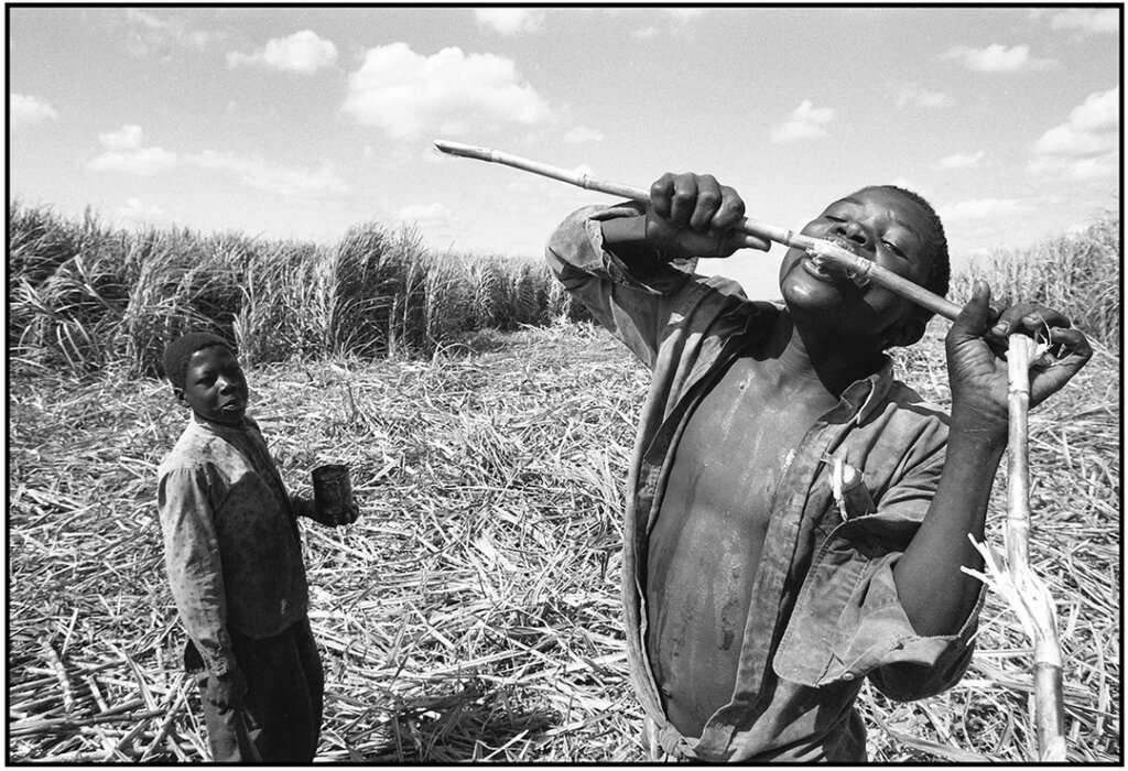 Ivo Saglietti, Haiti