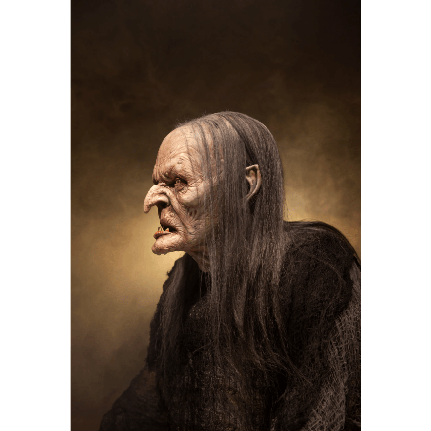 WITCH PORTRAIT | 2016 - SPFX Mask : Midnight Studios FX - Joshua Hoffine