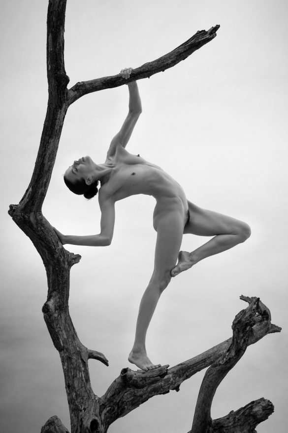 louis sauter (14)