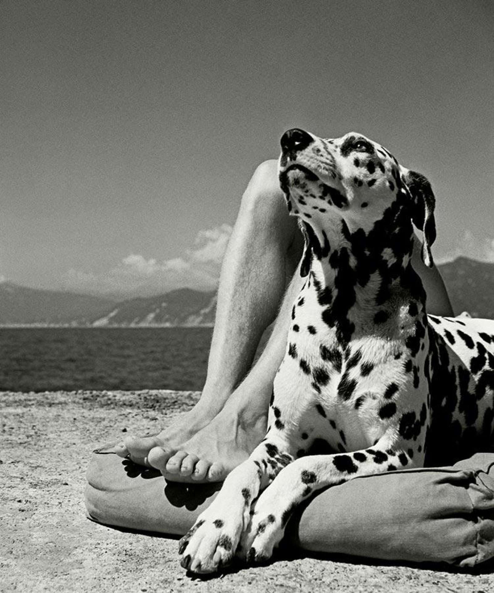 Portofino, Liguria. Italy. 1936.