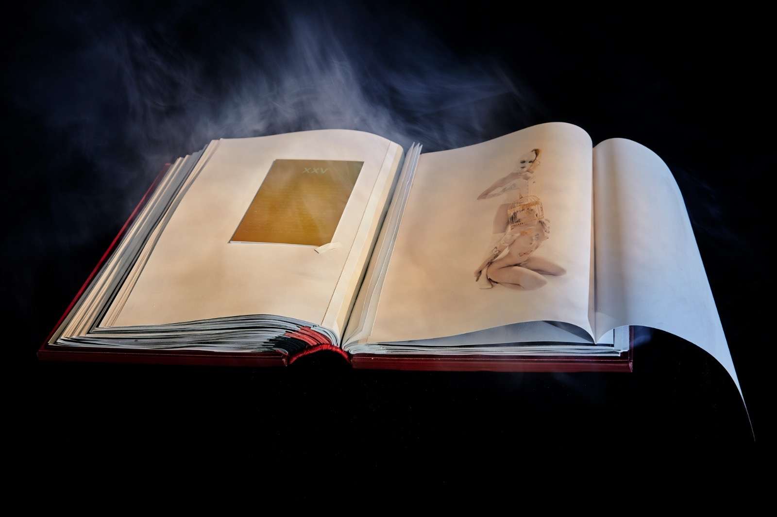 un'immagine del libro opera unica