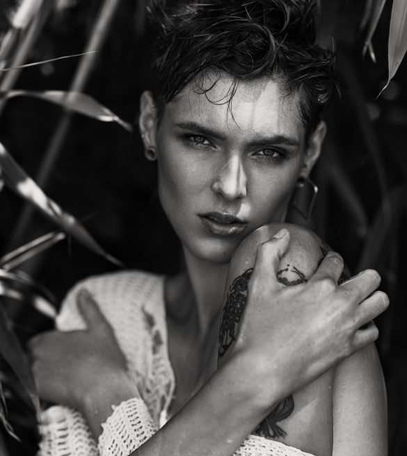 Yves Chollet