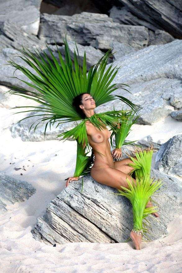 roberto manetta queenofpalms