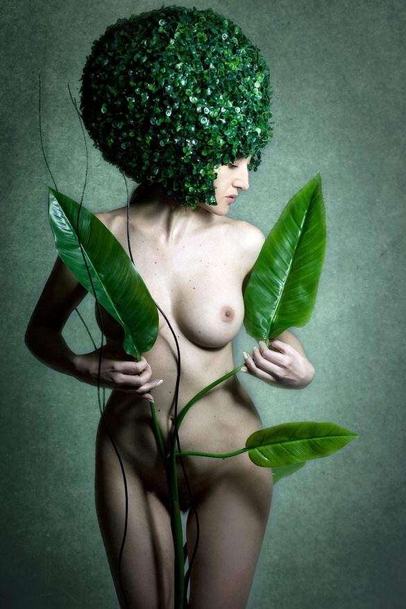 roberto manetta theplant